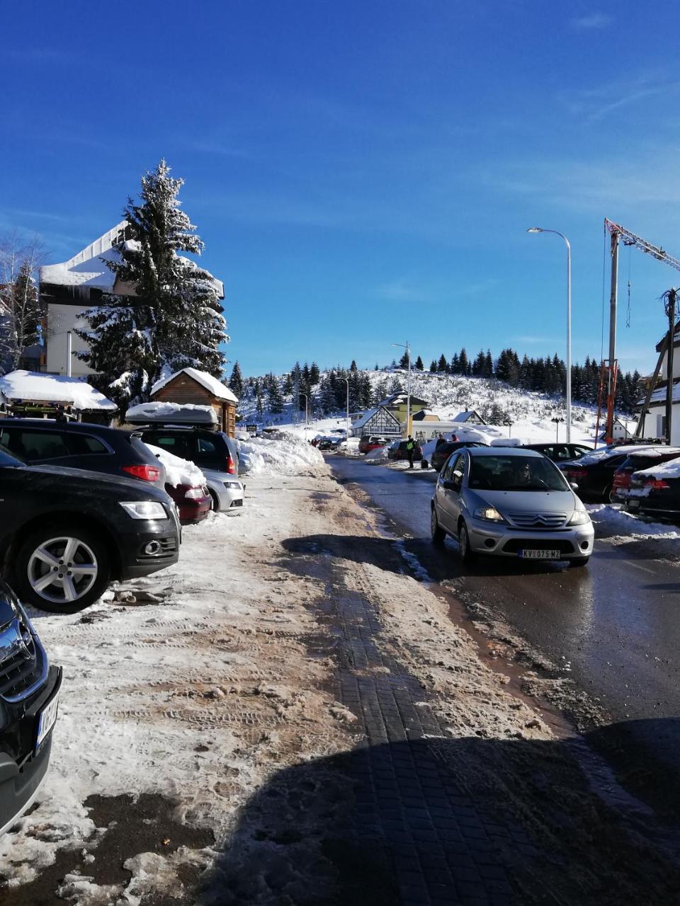 Apartments Kraljeva Dolina Kopaonik Kültér fotó